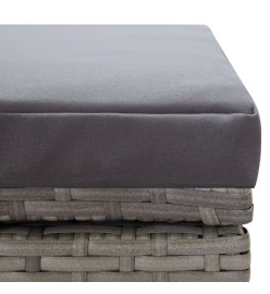 Chaise longue double avec coussin Résine tressée Gris
