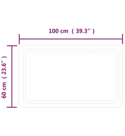 Miroir de salle de bain à LED 60x100 cm