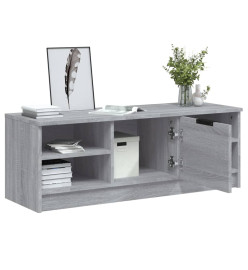 Meuble TV Sonoma gris 102x35,5x36,5 cm Bois d'ingénierie