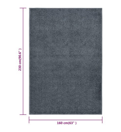 Tapis à poils courts 160x230 cm Anthracite