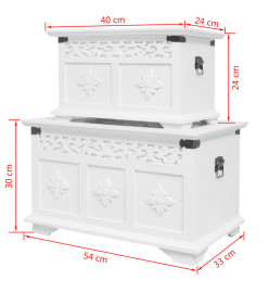 Ensemble de deux coffres de rangement Blanc