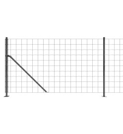 Clôture en treillis métallique avec bride anthracite 1x10 m