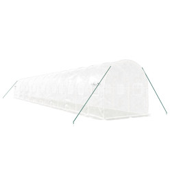 Serre avec cadre en acier blanc 32 m² 16x2x2 m