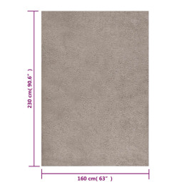 Tapis shaggy à poils longs Beige 160x230 cm