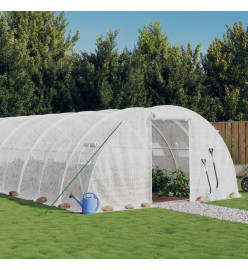 Serre avec cadre en acier blanc 48 m² 12x4x2 m