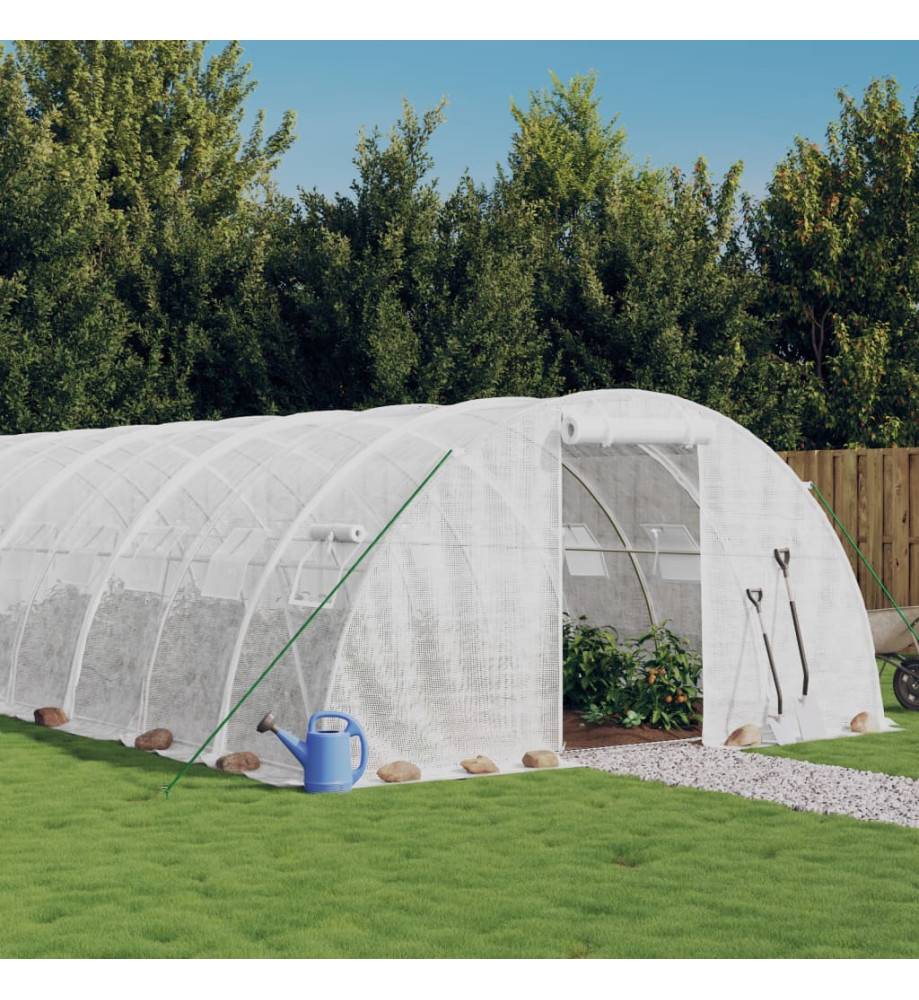 Serre avec cadre en acier blanc 48 m² 12x4x2 m