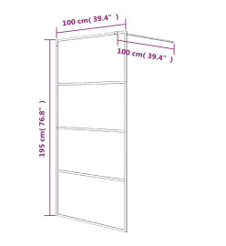 Paroi de douche Noir 100x195 cm Verre ESG dépoli