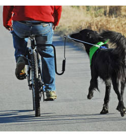 SPRINGER Kit d'exercice de vélo pour chiens