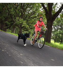 SPRINGER Kit d'exercice de vélo pour chiens