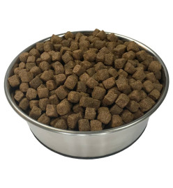 Nourriture sèche pour chiens Adult Active Chicken & Fish 15 kg