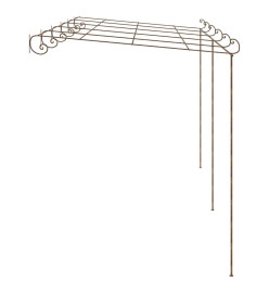 Pergola de jardin Marron antique 6x3x2,5 m Fer