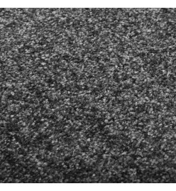 Paillasson lavable Anthracite 60x180 cm
