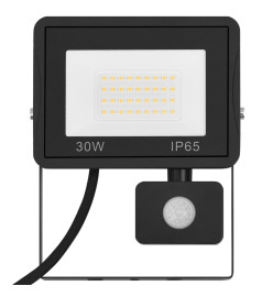 Projecteur à LED avec capteur 30 W Blanc froid