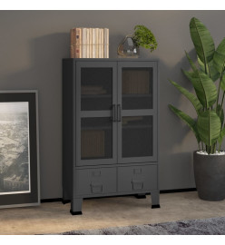 Coffre de rangement industriel Anthracite 70x40x115 cm Métal