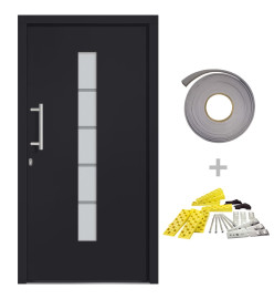 Porte d'entrée Aluminium et PVC Anthracite 110x210 cm