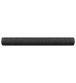 Filet brise-vue Anthracite 1x10 m PEHD 150 g/m²