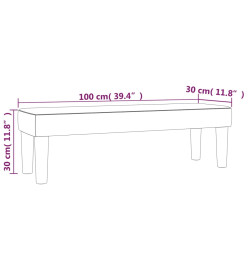 Banc Gris 100x30x30 cm Similicuir