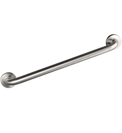 RIDDER Barre d'appui de sécurité 60 cm Acier inox brossé A00160051