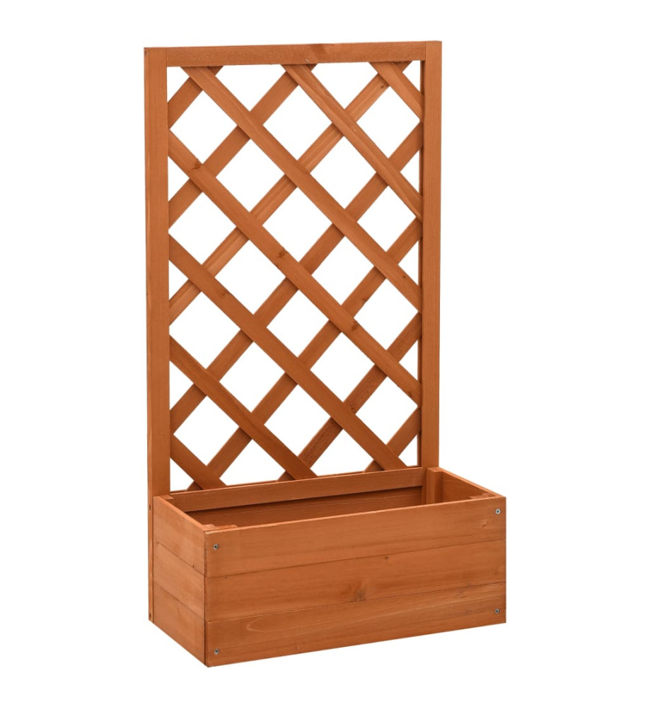 Jardinière à treillis de jardin Orange 50x25x90cm Bois de sapin