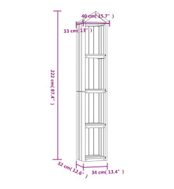 Abri à outils de jardin 40x33x222 cm Bois de pin imprégné