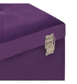 Banc avec compartiment de rangement 80 cm Violet Velours