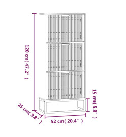 Armoire à chaussures noir 52x25x120 cm bois d'ingénierie