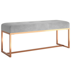 Banc Gris 110x36x45 cm Velours