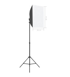 Lampes de studio professionnelles 2 pcs 40x60 cm Acier Noir