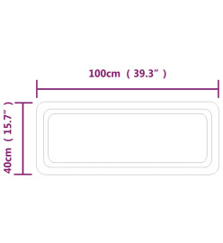 Miroir de salle de bain à LED 100x40 cm