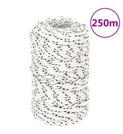 Corde de bateau tressé Blanc 2 mmx250 m Polyester