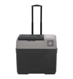 Glacière avec roue et adaptateur noir et gris 30L polypropylène