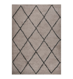 Tapis shaggy à poils longs Beige et anthracite 140x200 cm