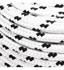 Corde de travail Blanc 10 mm 100 m Polyester