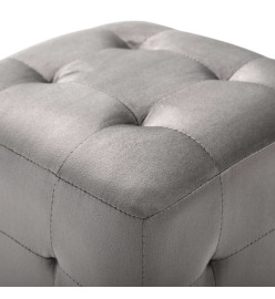 2 pcs Poufs Gris 30 x 30 x 30 cm Tissu velours