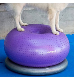 FitPAWS Balle d'équilibre pour animaux de compagnie TRAX Donut 55 cm