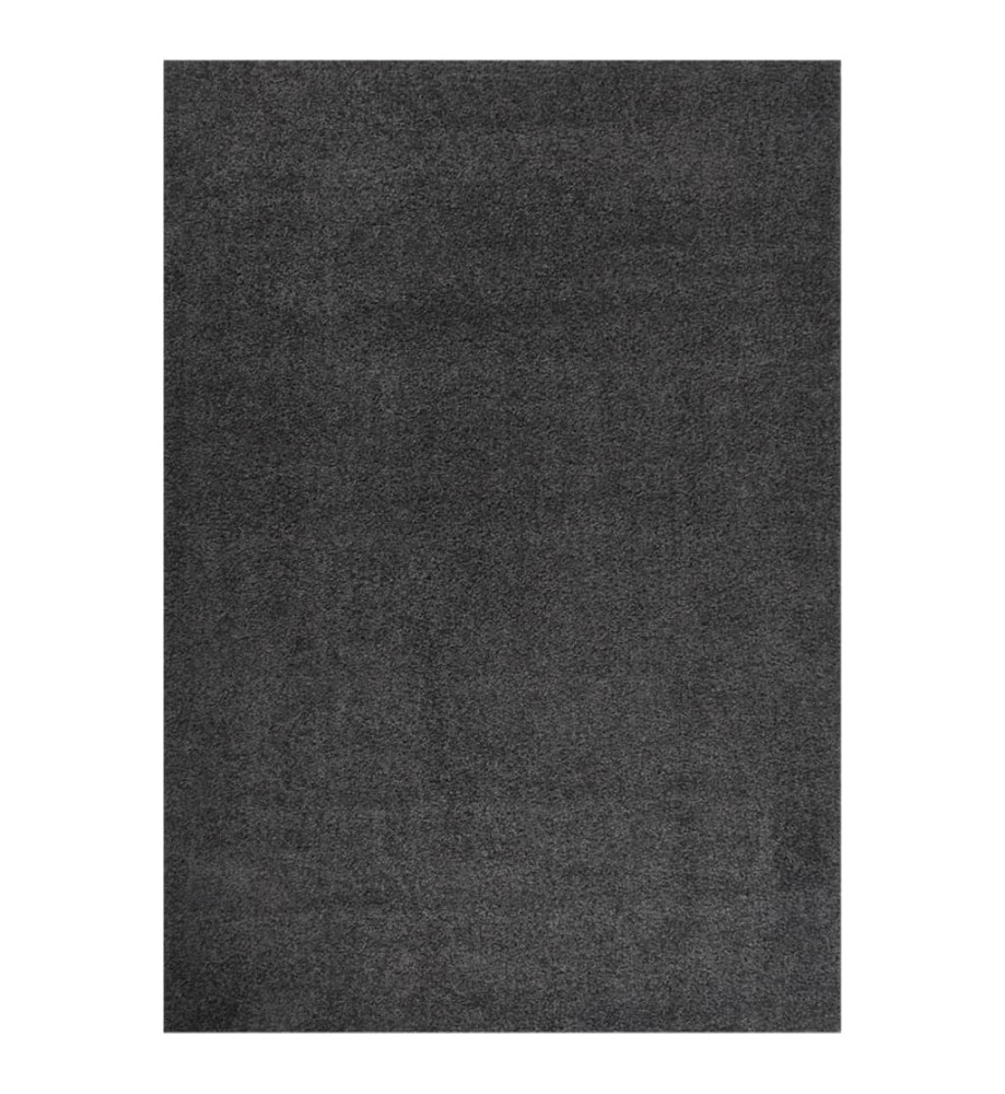Tapis shaggy à poils longs Anthracite 140x200 cm Tapis shaggy à poils longs Anthracite 140x200 cm