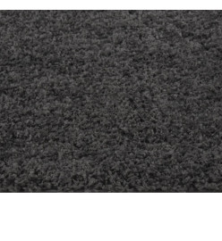 Tapis shaggy à poils longs Anthracite 140x200 cm