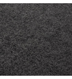Tapis shaggy à poils longs Anthracite 140x200 cm