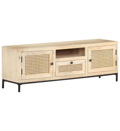 Meuble TV 120x30x40 cm Bois de manguier et canne naturelle