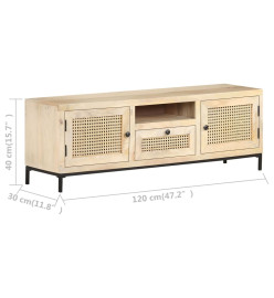 Meuble TV 120x30x40 cm Bois de manguier et canne naturelle