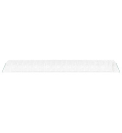 Serre avec cadre en acier blanc 100 m² 20x5x2,3 m