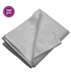 Bâche 260 g/m² 3x6 m Gris PEHD