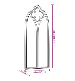 Miroir de jardin Noir 100x45 cm Fer pour utilisation extérieure