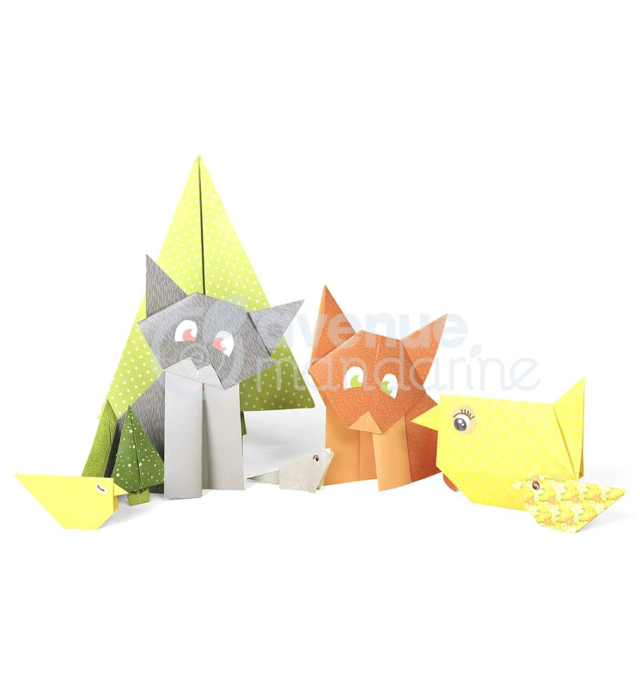 Avenue Mandarine Boîte créative Origami Initiation