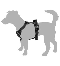 FLAMINGO Harnais pour chiens Balou Noir M 50-65 cm 25mm