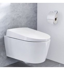 Kleine Wolke Porte-papier hygiénique avec couvercle Apollo Aluminium