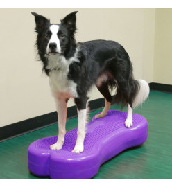 FitPAWS Plate-forme d'équilibre d'animaux Giant K9FITbone PVC Violet