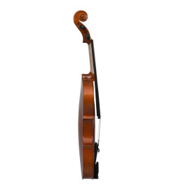 Ensemble de violon avec archet et mentonnière Bois foncé 4/4