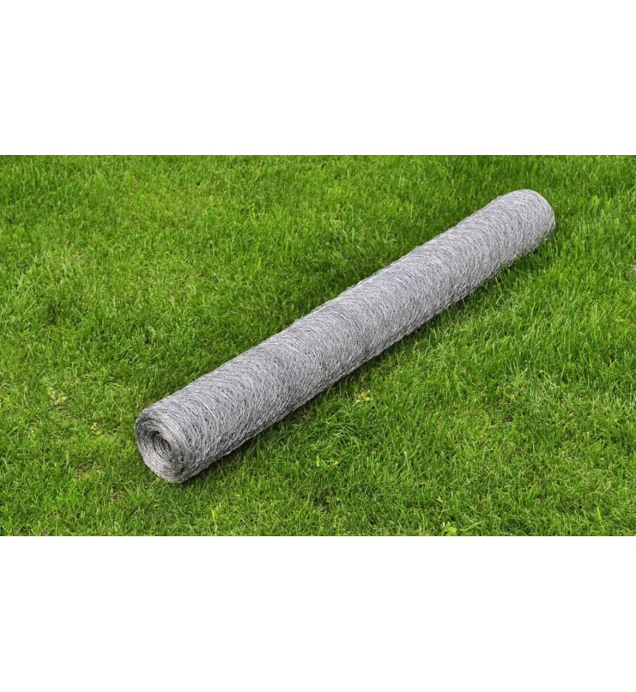 Grillage pour volière Acier galvanisé 25 x 1 m Argenté