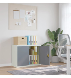 Classeur gris clair et gris foncé 90x40x70 cm acier